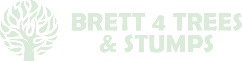 Brett 4 Trees & Stumps
